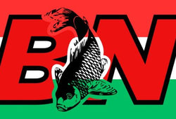 Március 15-én nem csak Petőfi, Jókai, Vasvári Pál vívott csatát, hanem mi is! ( Iván József) - bojlisnaploja