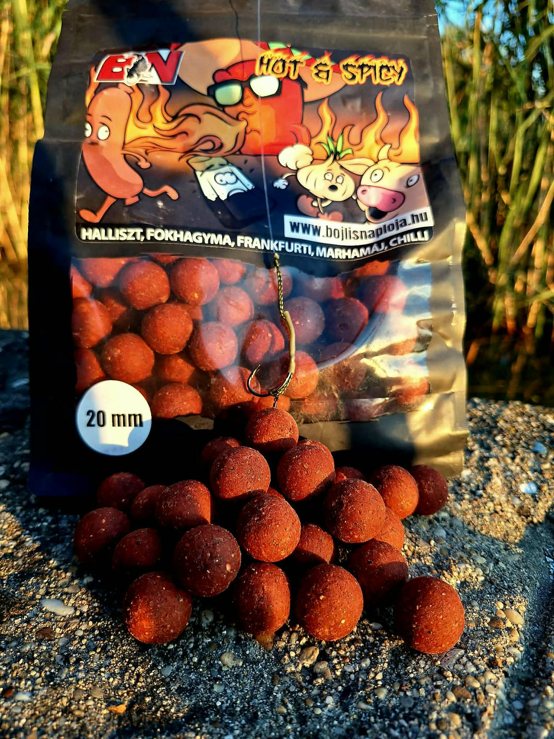 HOT & SPICY BOJLI